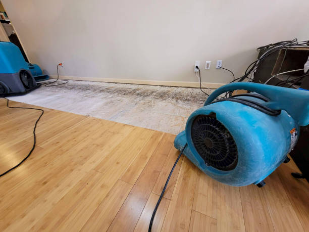 Professional Basement Flood Cleanup technician working in Elkhart, TX